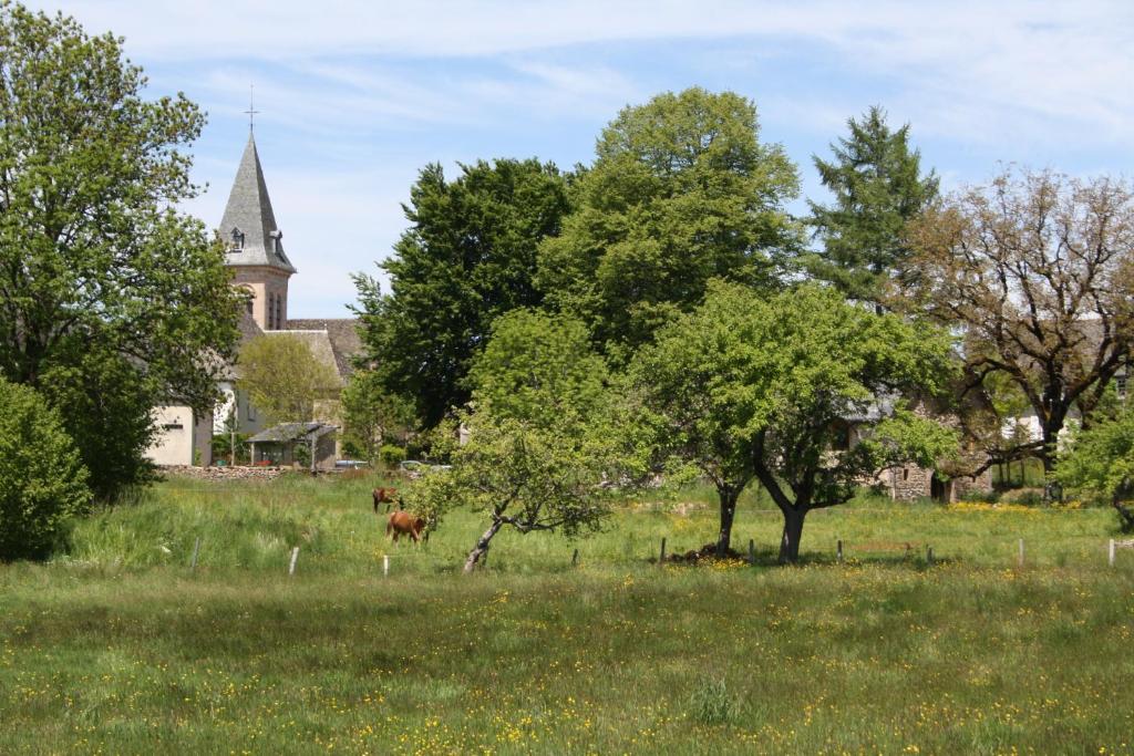 Auberge De Saint Julien Aux Bois المظهر الخارجي الصورة