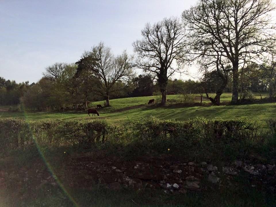 Auberge De Saint Julien Aux Bois المظهر الخارجي الصورة