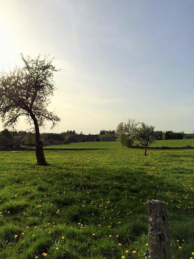 Auberge De Saint Julien Aux Bois المظهر الخارجي الصورة