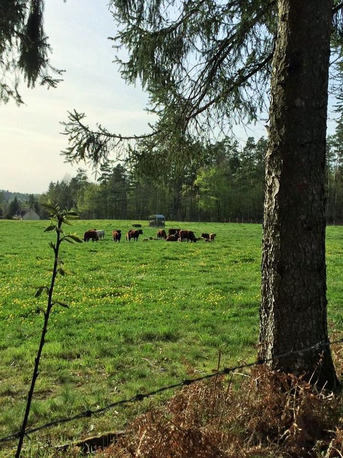 Auberge De Saint Julien Aux Bois المظهر الخارجي الصورة